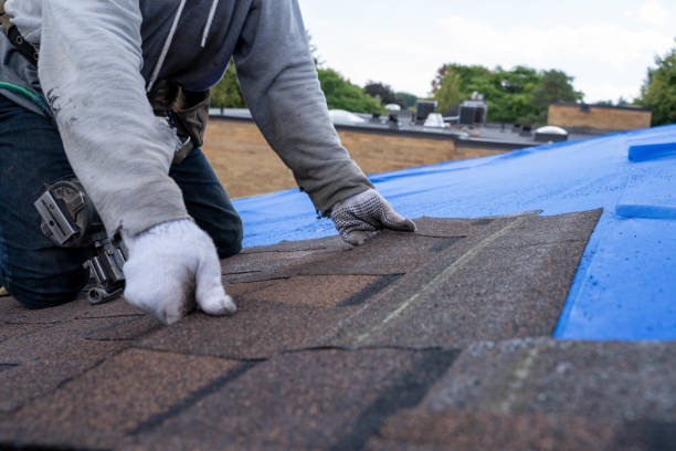 Best Metal Roofing Contractor  in Haskell, AR