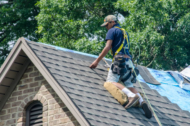 Professional Roofing Contractor in Haskell, AR